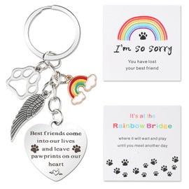 ZioTL Pet Memorial Keychain Cat and Dog Memorial Gifts, Memorial Gifts for Loss of Pet Leave Pawprints on Our Heart Rainbow Bridge Pet Keychain Memorial Gift