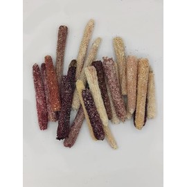 Natural Dried Indian Corn Cob Small, Real Cobs, 24 corn cobs, 3-5 inches each