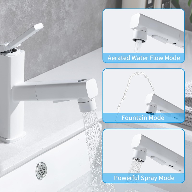 HANLIAN Single Hole Bathroom Pull Out Faucet with Rotating Spout,