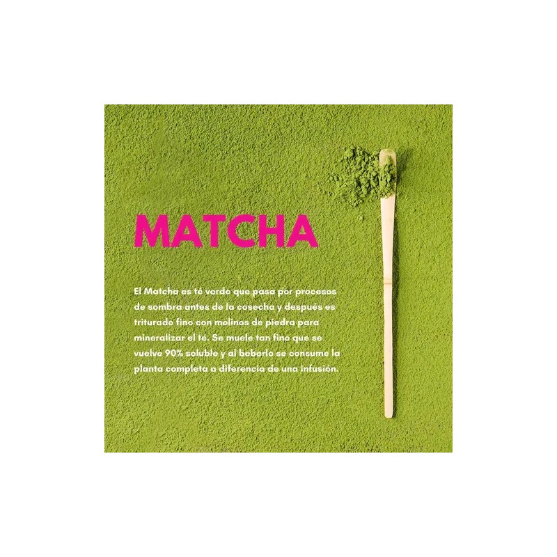 Té Verde Matcha Latte en Polvo Zoma Tea Collection 800g