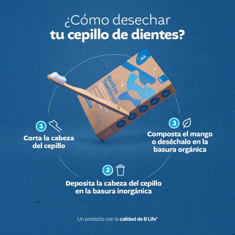 Kit 10 Cepillos Dentales De Bambú Con Cerdas Medias. B