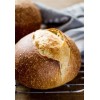 Heritage Sour Sourdough Starter DEHYDRATED Heritage 100+ YRS OLD San