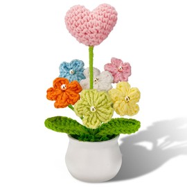 Phaicoilo Crochet Potted Forget Me Not Flowers Knitted: Handmade Knitted Flower for Decorations Car Dashboard Desk Decor (Pink Heart)