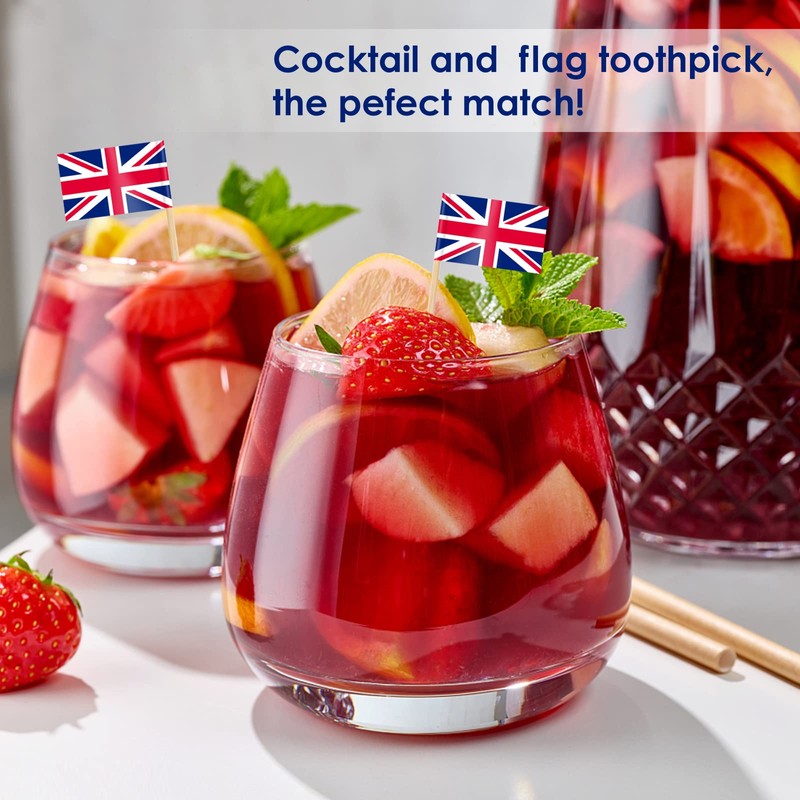 AhfuLife Different Countries Toothpick Flag, 200 Pcs Mini Flags on