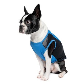 Insect Shield Pet Breathable Sleeveless Mesh Airflow Tank Top with Built in Bug and Tick Protection, Lake, Medium