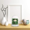 Angoily Decorative Glass Display Dome Cloche- 6in Height Clear Cloche