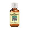 DEVPRAYAG Devprayag Pure Sweet Wormwood Essential Oil (Artemisia annua) Steam