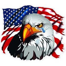 American Flag Eagle Crying Decal 5" from The United States