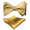 Alizeal Mens Gradient Paisley Self Bow Tie and Hanky Set,