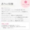 rabanzingurosso [Essential Oils/Essential Oils/Aromatherapy] [Japan Aroma Environment Association Display Standard