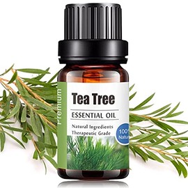 Aceites Esenciales de Arbol de Té Aromaterapia - Natural 100% de Aceite Esencial Natural Conjunto de Difusores y Humidificadores con Caja de Regalo Exquisita (UVa Natural, 10 ML) (Arbol de Té)