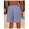 BEAUDRM Men's Graphic Swim Trunks Drawstring Waist Boho Short Quick