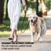 Active Pets Strong Dog Leash with Padded Handle, Durable Comfort
