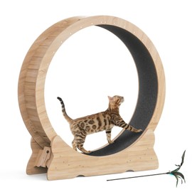Mondeer Cat Exercise Wheel, 43.3 inch Cat Wheel for Indoor Cats with Carpeted Runway, XL Cat Treadmill with Removable Carpet and Cat Teaser, for Running Walking Training (Natural Wood)