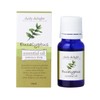 Daily Delight Essential Oil Eucalyptus 0.3 fl oz (10 ml)