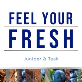 Glade PlugIns Refills Air Freshener, Scented and Essential Oils for Home and Bathroom, Juniper & Teak, Fresh Collection 3.35 Fl Oz, 5 Count