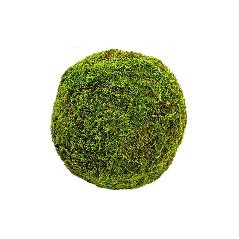 SuperMoss (21663) Moss Ball, Fresh Green, 8"