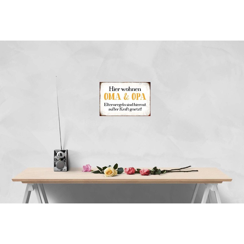 Ontrada Blechschild 20x30cm gewölbt vegetarisch ist indianisch Grill Deko Geschenk