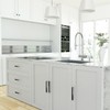 Haliwu 10 Pack Silver and Black Cabient Handles 2 Tone