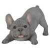 Vivid Arts - Active Pups Blue French Bulldog - AP-BFRB-D