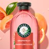 Herbal Essences Grapefruit Volumizing Shampoo, 400 mL, with Certified Camellia