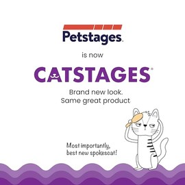 Petstages Kitty - Cuenco de alimentación Lenta para Gatos, Color Verde