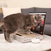 ScratchPad Pro — Cardboard Laptop Cat Scratcher, Interactive Cat Toys