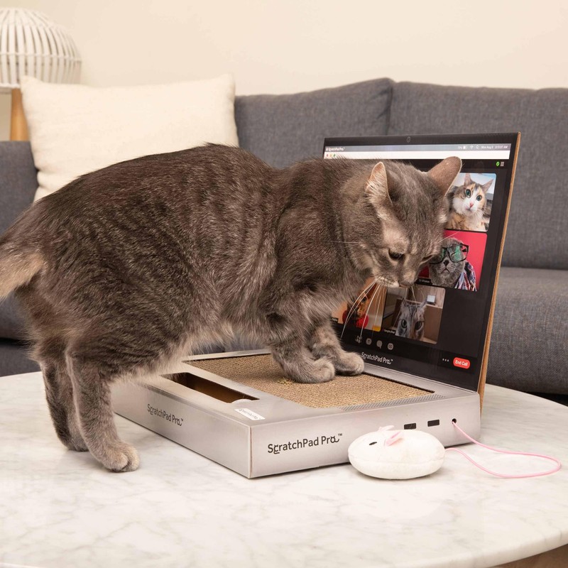 ScratchPad Pro — Cardboard Laptop Cat Scratcher, Interactive Cat Toys