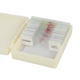 Prepared Human Tissue Anatomy Microscope Slides Set, 17pcs Hand-Prepared Slides Survey The Major Tissues and Organs of Human Body Dedicated to Human Physiology