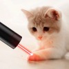 AMSUER 365nm LED UV Ultra Violet&Red Laser Flashlight Blacklight Inspection