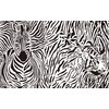 Pintoo Jigsaw Puzzles 1000 Piece for Adults - Extreme Puzzle