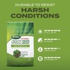 Scotts Turf Builder Grass Seed Tall Fescue Mix with Fertilizer