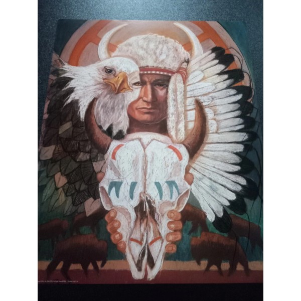 16 X 20" Eagle Eye Native Amer. Picture Print. Free