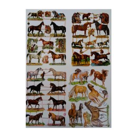 EF SET 12 Glossy Pictures Horse Brown Mould Motif Set of 4 Different Paper Sheets for Crafts and Decorating Poetry Pictures Decoration