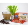 Bio Coffee- First Organic Instant Non-dairy Alkaline Coffee (2 Boxes,