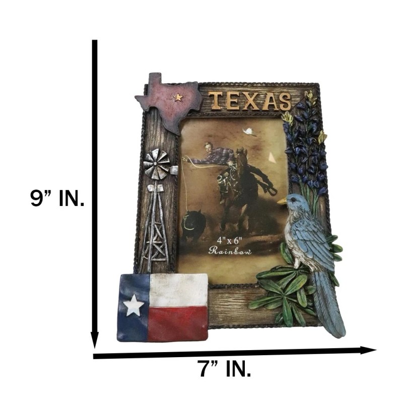 Ebros Gift Rustic Western Patriotic Texas Mockingbird Windmill Bluebonnets Picture