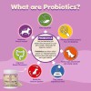 Dog Probiotics Support Fiber and Digestive Enzymes for Puppies. Extra