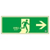 Green Cross 068802 Medium Luminance Luminous Induction Sign FA-802 Emergency Exit