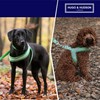 HUGO & HUDSON Easy Walk Dog Harness Adjustable No-Pull Step-in