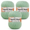 Aeelike Merino Wool Yarn for Knitting and Crochet, 3x100g, Light