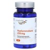 Vitaworld Hyaluronic 250 mg Vitamin C Capsules 60 cap