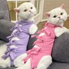 KASESSS 2 Pcs Cat Recovery Suit, Cat Clothes After Surgery,