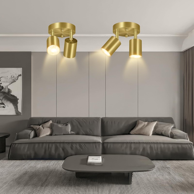 2 Light Track Lighting Fixtures Ceiling, Gold Round Directional Ceiling