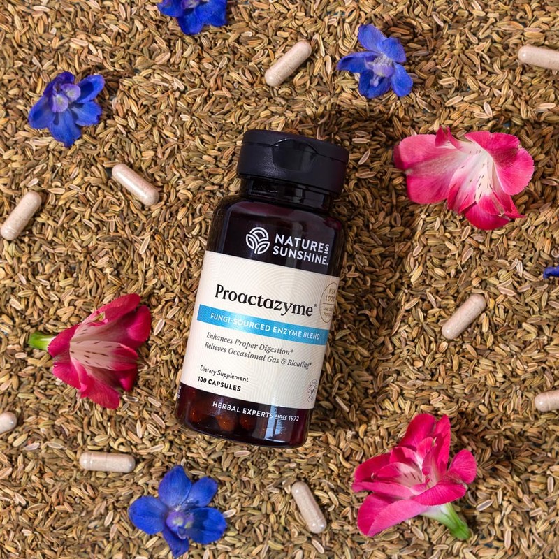 Nature's Sunshine Proactazyme 100 Capsules