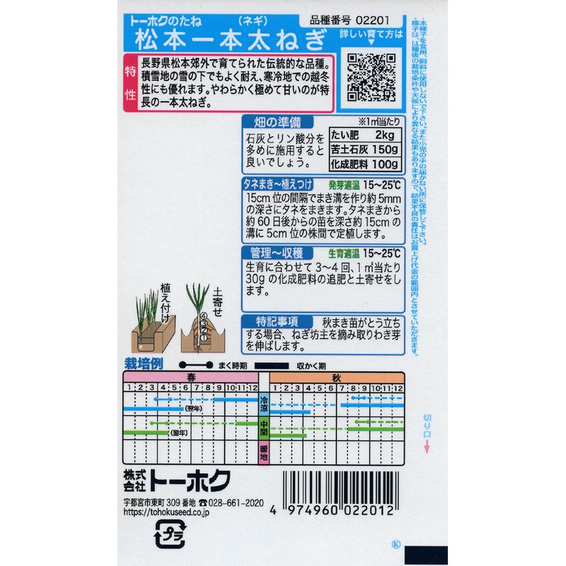 Tohoku Co., Ltd. Matsumoto Ippon Leek 02201