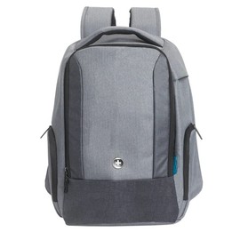 Swissdigital Unisex Berklee+ Backpacks (Pack of 1), Frosted Grey, Casual