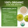 True Veda True Veda Digestion Bundle USDA Organic | Multi-Award-Winning