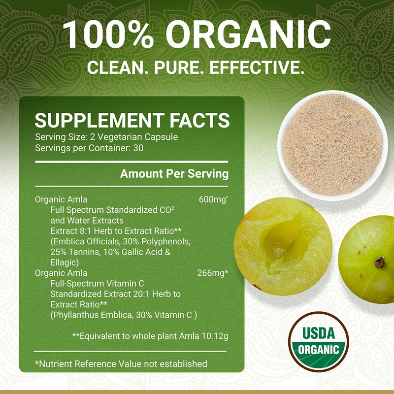 True Veda True Veda Digestion Bundle USDA Organic | Multi-Award-Winning