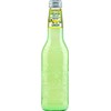 Galvanina - Lemon - Premium Organic Italian Sparkling Fruit Beverage