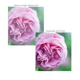 UV (Haze) 1A Multicoated | Multithreaded Glass Filter (58mm) for Canon Powershot S3 is (Includes Lens Adapter)